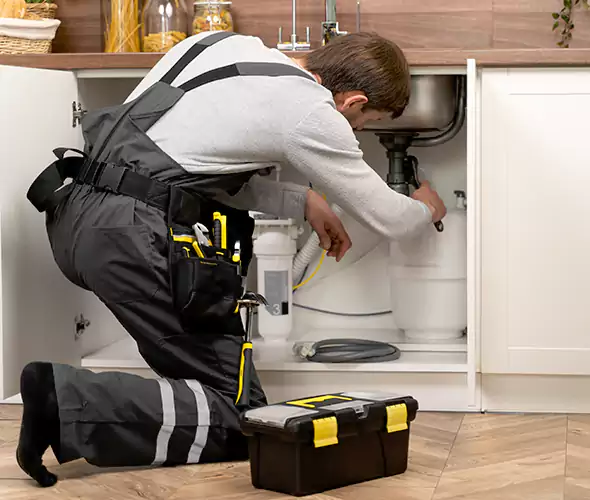 Certified Plumbers for Insinkerator Installation in Rockwall