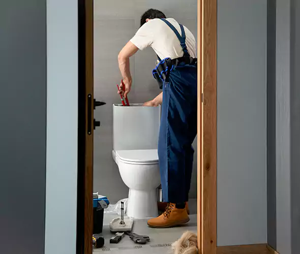 Professional Plumbers for Toilet Bowl Replacement in Rockwall, TX: Schedule Affordable Toilet Replacement Services With Us