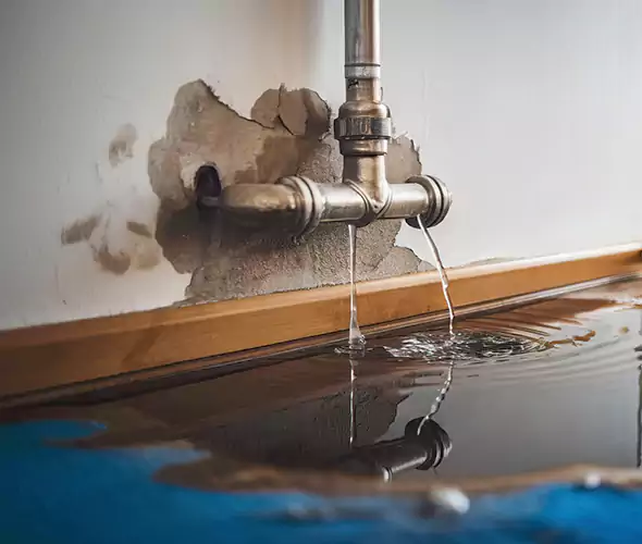 Professional Water Damage Restoration Experts in Rockwall, TX — Fast, Reliable & Certified